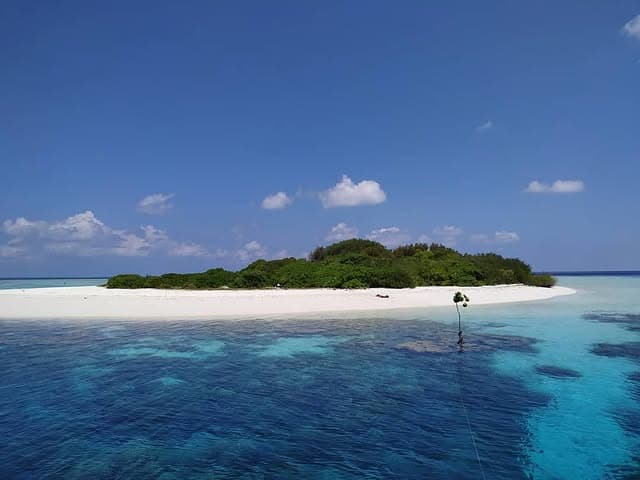 Local Island Visit